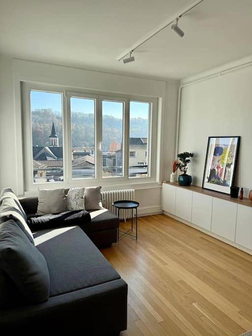 Appartement entier, Charmant T2 lumineux avec vue in Valserhône, Nantua