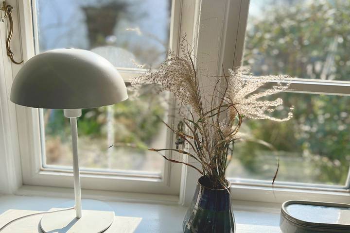 Ferienhaus für 5 Personen, mit Whirlpool und Sauna sowie Garten, mit Haustier in Büsum-Wesselburen - 3