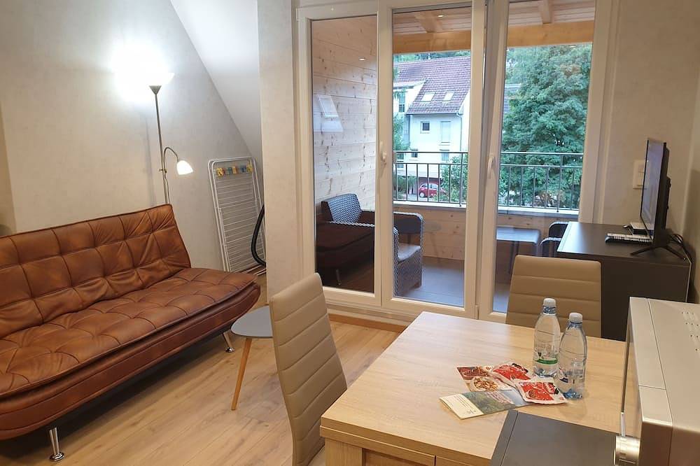 Entire apartment, Furnished apartments at 25 N°6 in Niederbronn-les-bains in Niederbronn-les-Bains, Nordelsass