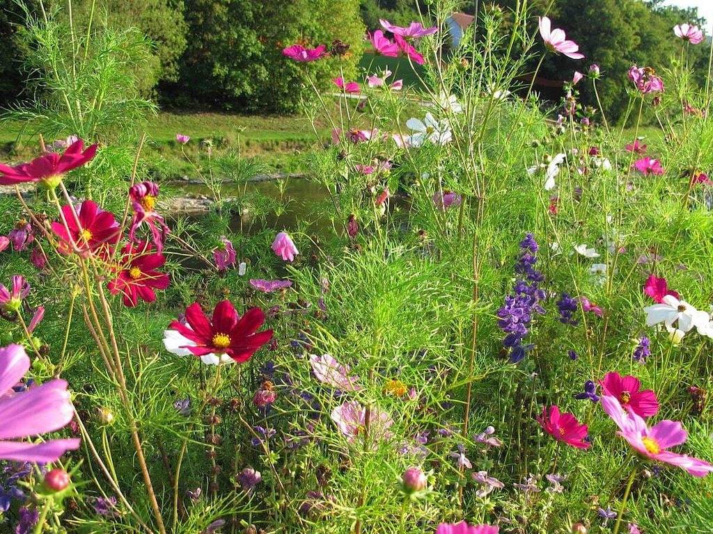 Ganze Wohnung, Ferienwohnung mit 1 Schlafzimmer in Rottweil, Mittlerer Schwarzwald
