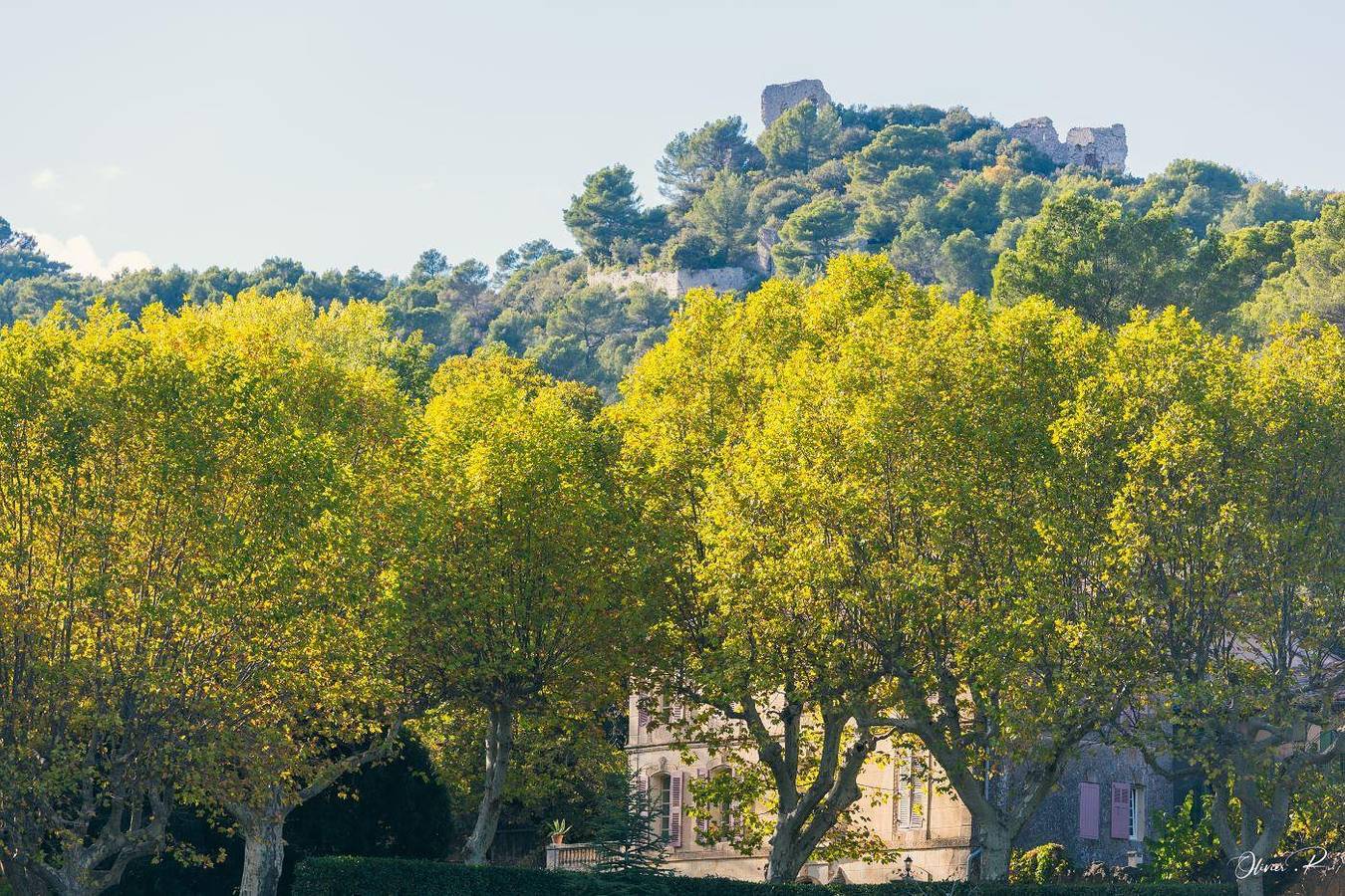 Domaine familial La Marjoline in Nans-les-Pins, Brignoles Region