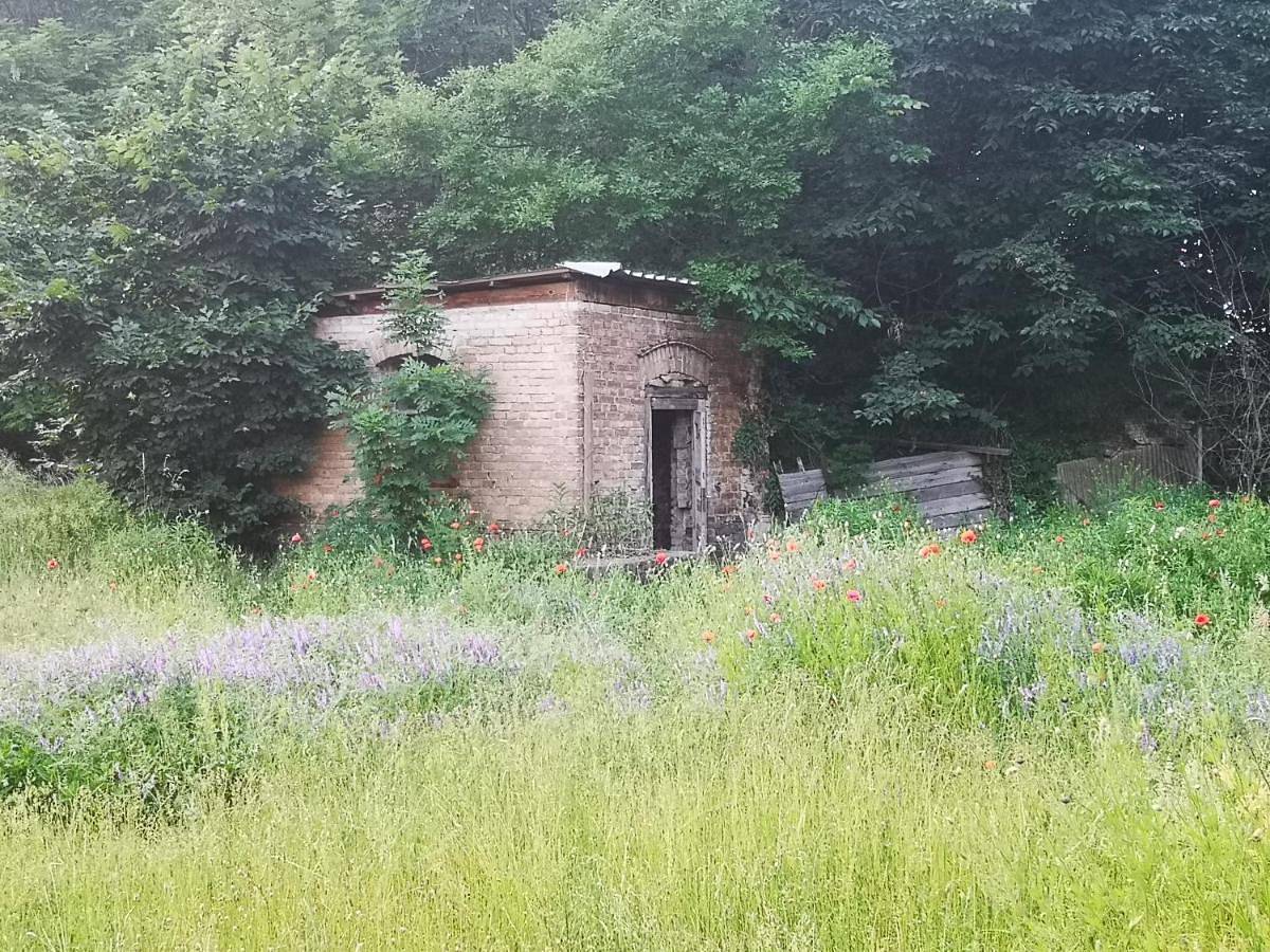 Ganze Wohnung, Gästehaus am Landgut in Schönwalde-Glien, Havelland