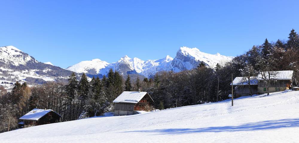 Apartamento entero, Grande Neige N°36 in Station de Morillon, Grand Massif
