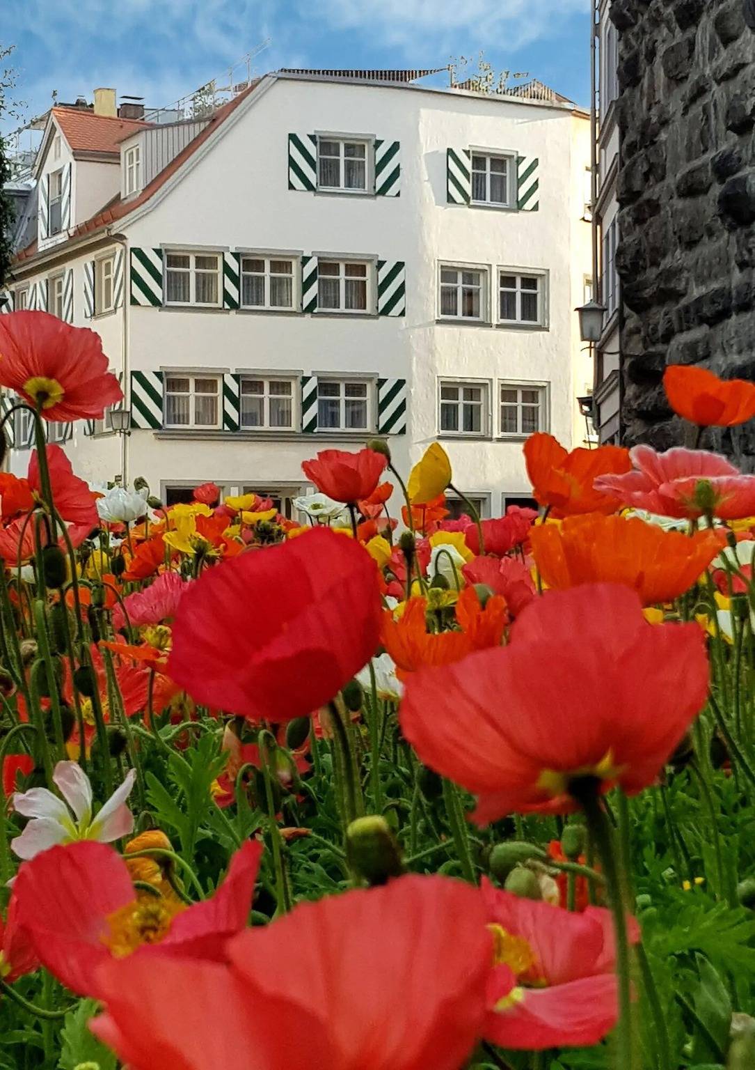 Ganze Wohnung, Ferienwohnung 'Appartement S1' mit Wlan in Lindau, Bayerisch Schwaben