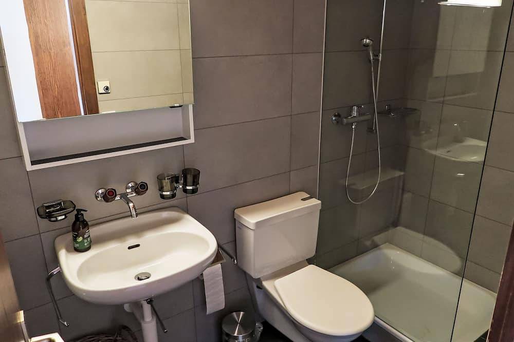 Ganze Wohnung, Wohnung Nr.2 in Schluein, Flims Laax Falera