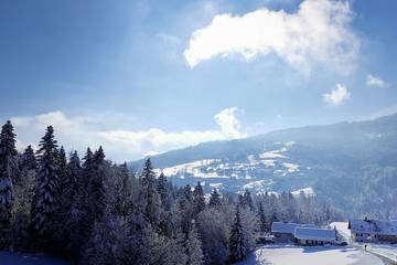 Chalet für 3 Personen in Langenegg, Bregenzerwald, Bild 3