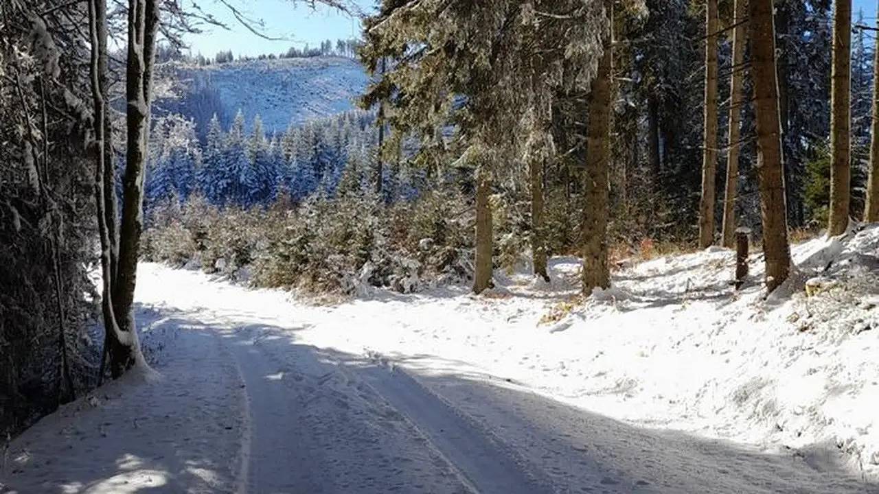 Ferienhaus für 8 Personen in Fischbach in Fischbach, Steirerland