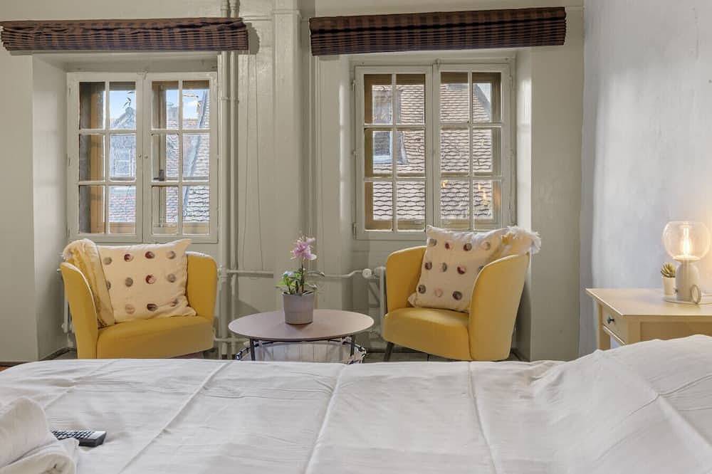 Geheel appartement, Charming studio in Fribourg's old town in Fribourg, Fribourg (kanton)