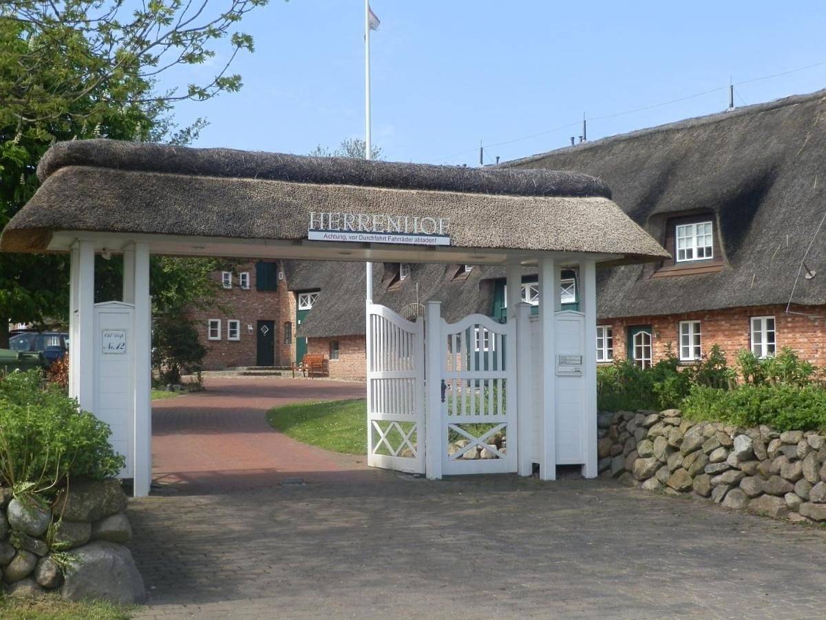 Herrenhof - Fewo Nr. 5 in Wrixum, Föhr