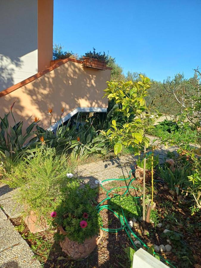 Appartamento intero, One-Bedroom Apartment in Donoratico (Italia), Castagneto Carducci