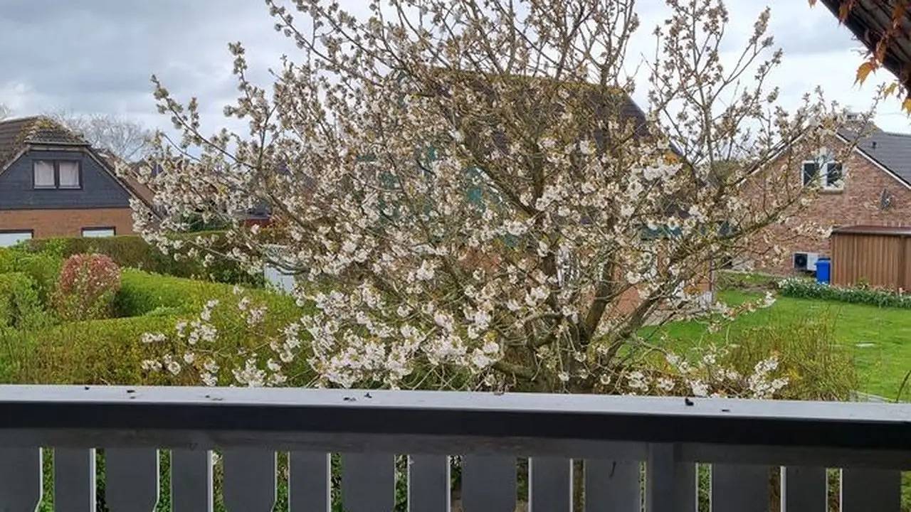Ferienhaus für 4 Personen (70 m²) in Friedrichskoog in Friedrichskoog-Spitze, Friedrichskoog