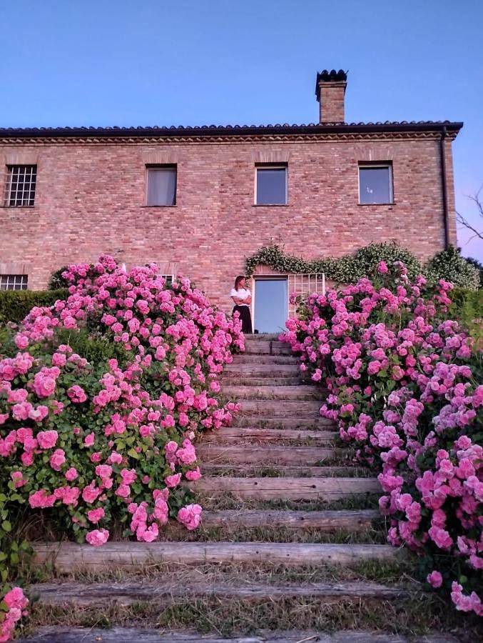 Ganze Wohnung, Il Giardino nella Valle in Belvedere Ostrense, Ancona Provinz