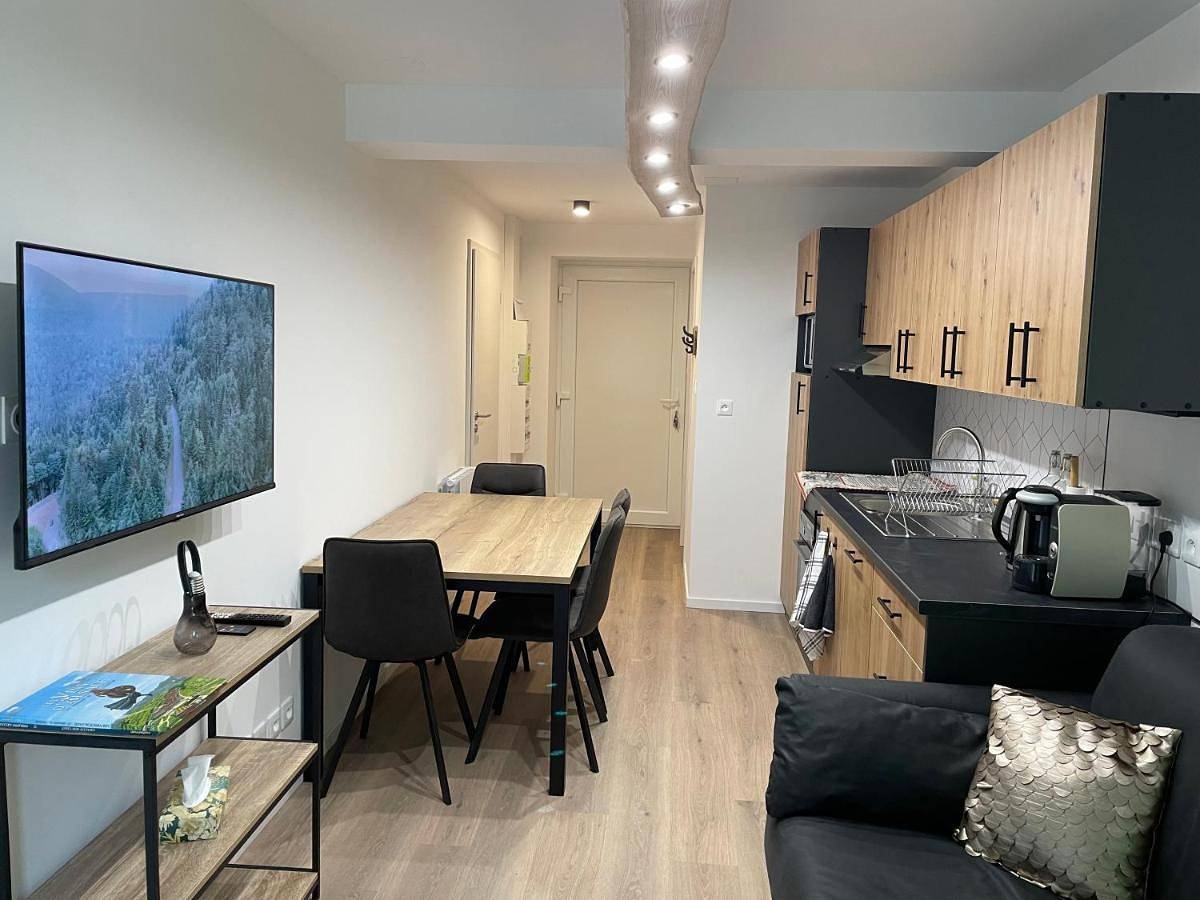 Cały apartament, One-Bedroom Apartment in Orbey, Parc naturel régional des Ballons des Vosges