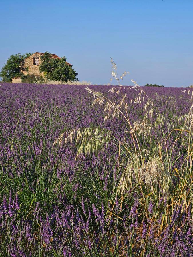 Gîte pour 2 personnes, avec vue ainsi que piscine et jardin à Puimoisson - 3