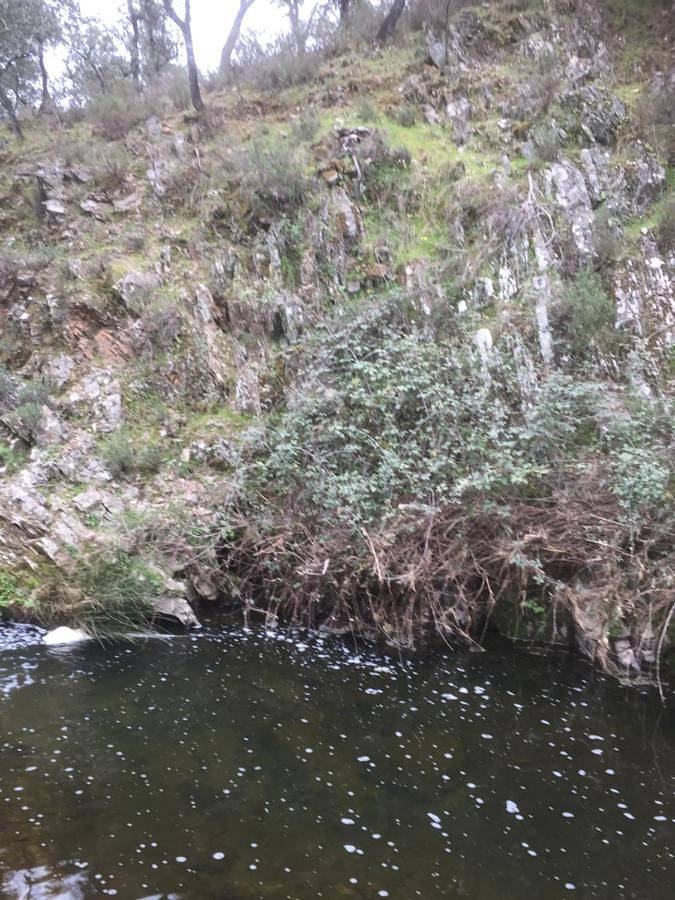 Chalet para 17 personas, con jardín además de piscina y vistas, Familias con niños en Sierra de Aracena y Picos de Aroche - 2