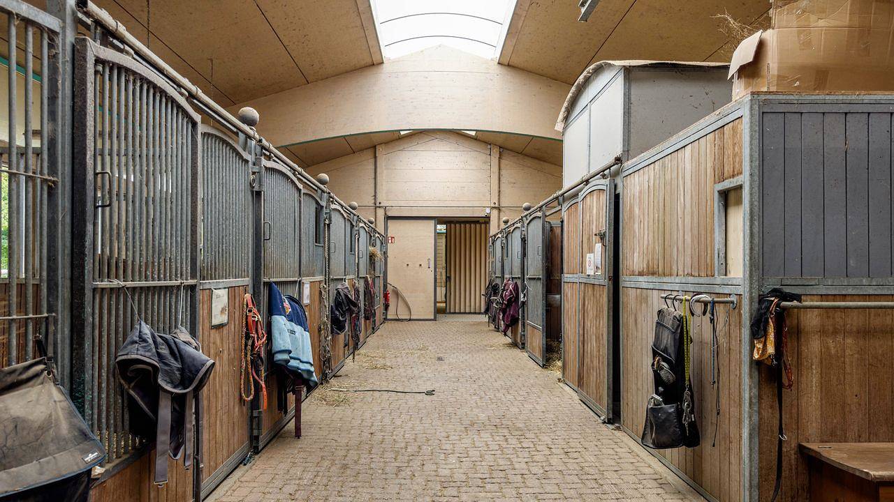 Ganze Ferienwohnung, Ferienwohnung für 5 Personen (65 m²) in Ravensburg in Ravensburg, Region Bodensee-Oberschwaben