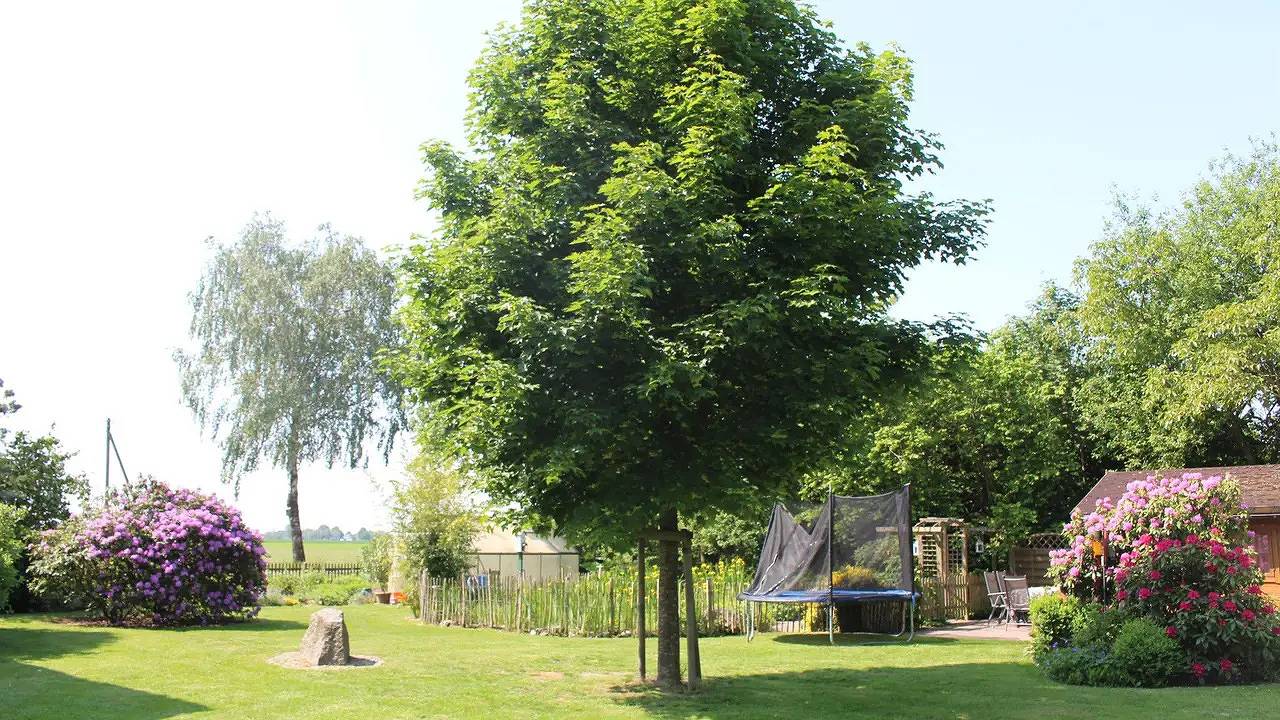 Ganze Ferienwohnung, Ferienwohnung für 2 Personen (50 m²) in Walsrode in Walsrode, Aller-Leine-Tal