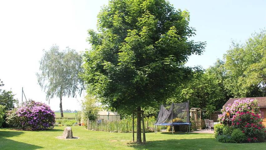 Ferienwohnung für 2 Personen, mit Garten in Walsrode - 4