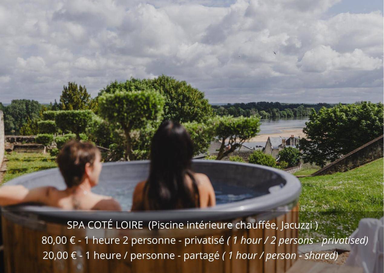 Château de Candes - Art & Spa in Candes-Saint-Martin, Vallée de la Loire