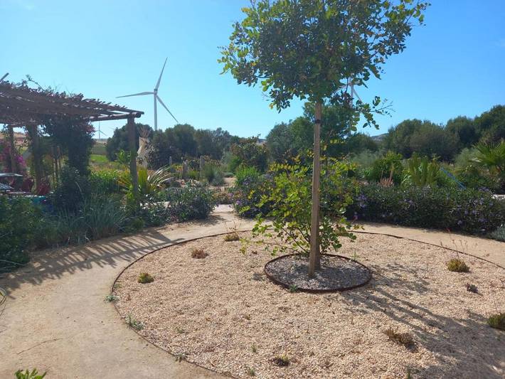 Maison d’hôte pour 17 personnes, avec jardin ainsi que vue et piscine en Andalousie - 3