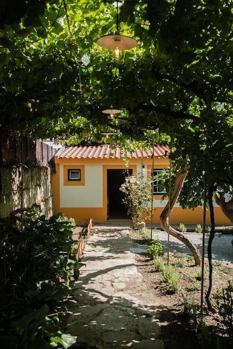 One-Bedroom House in São João da Pesqueira, Vale do Douro