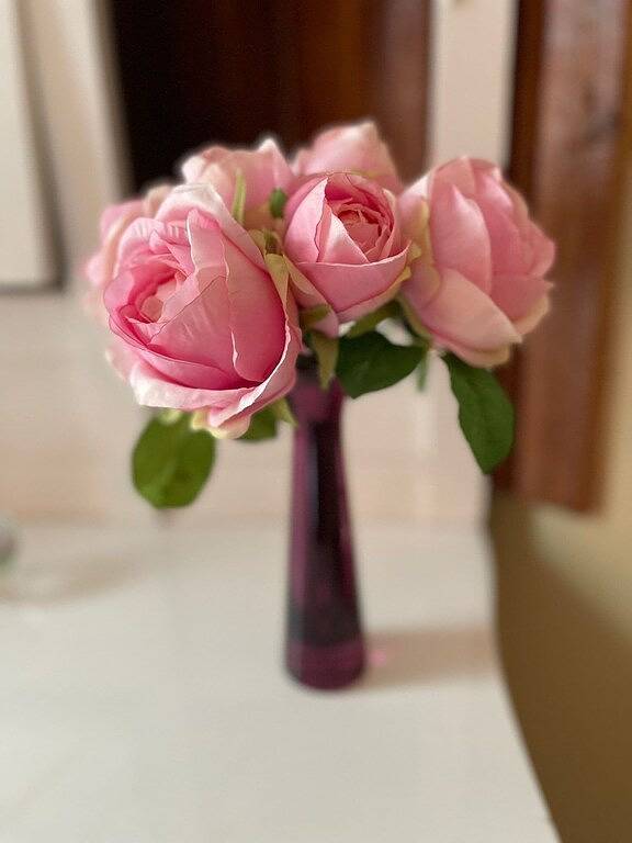 Ganze Wohnung, Heritage charm, 5 min to Dt with A/C in Calgary, Kanadische Rocky Mountains