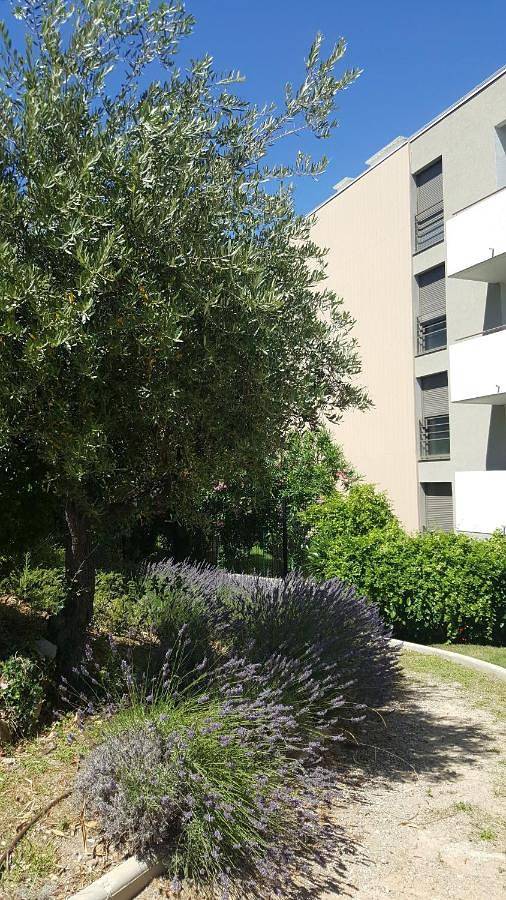 Gîte pour 2 personnes, avec terrasse ainsi que vue et piscine dans Thalazur - 3