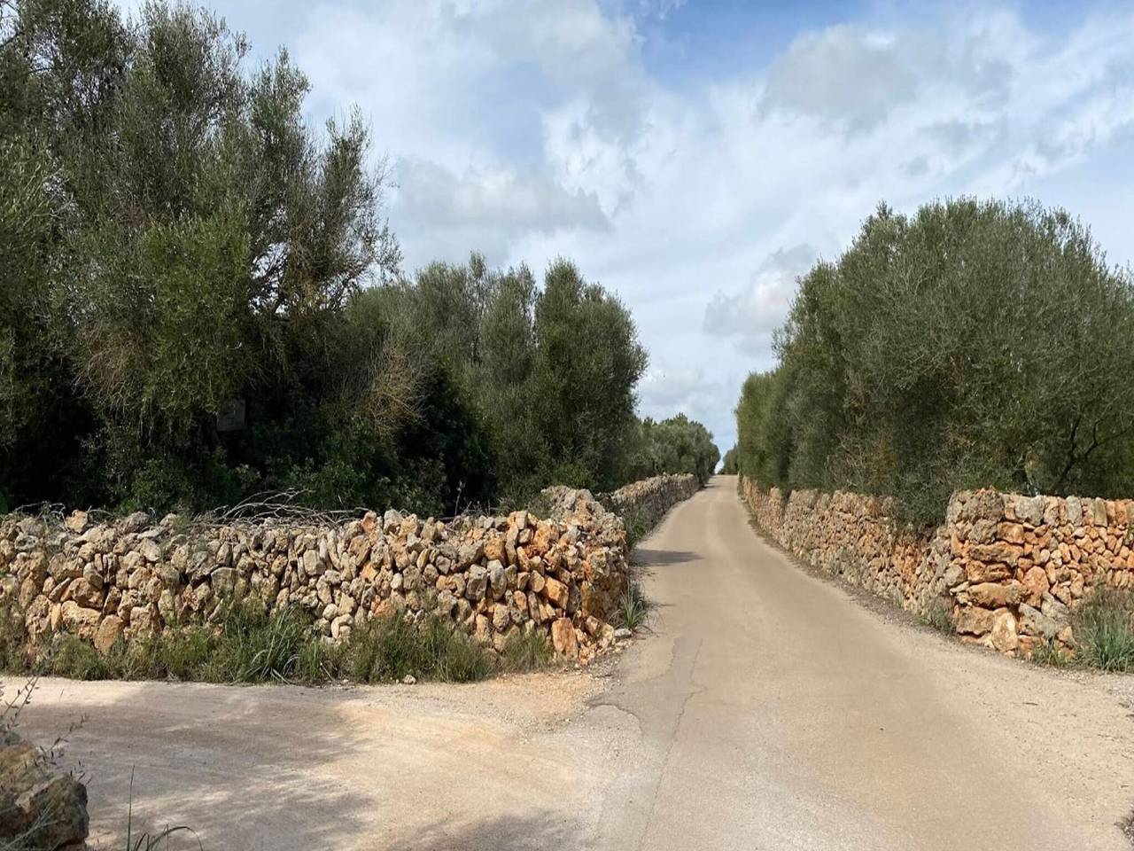Villa à Ses Salines avec piscine privée in Ses Salines, Majorque du Sud