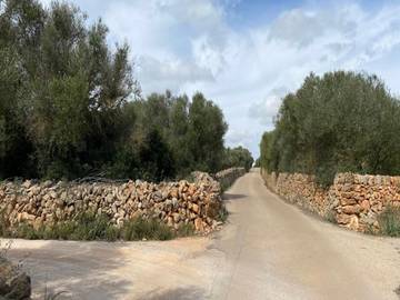 Ferienhaus für 6 Personen in Ses Salines, Mallorca Süden, Bild 3