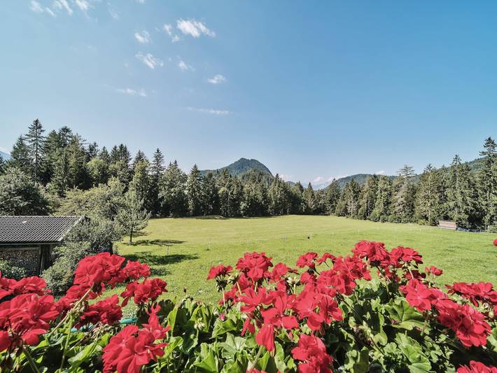 Standardzimmer 3, Dusche/Wc, ab 4 Nächte Hp in Scheffau am Wilden Kaiser, Kaisergebirge