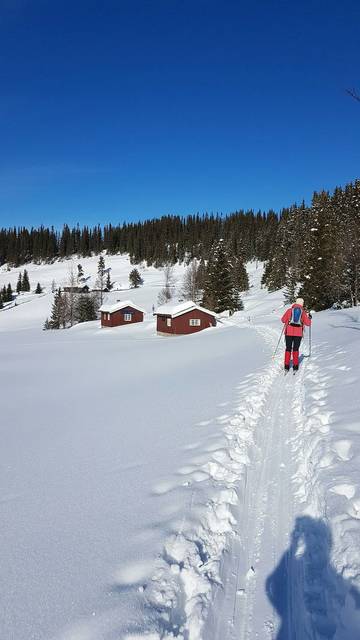 Ferienhaus für 4 Personen, kinderfreundlich in Ost-Norwegen