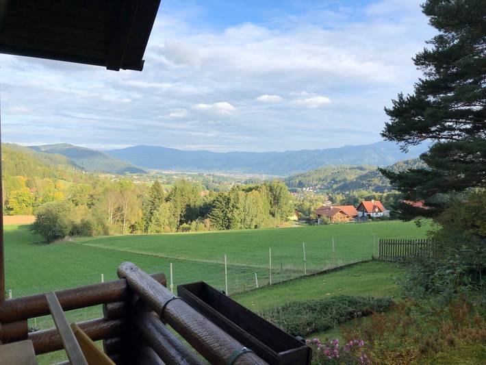 Ferienhaus für 6 Personen, mit Garten, mit Haustier in Hochsteiermark - 2