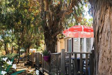 Camping pour 4 Personnes dans Saint-Florent, Région de Calvi, Photo 4