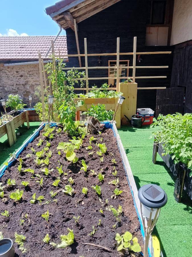 Location de vacances pour 6 personnes, avec vue et terrasse, animaux acceptés dans Nantua - 2