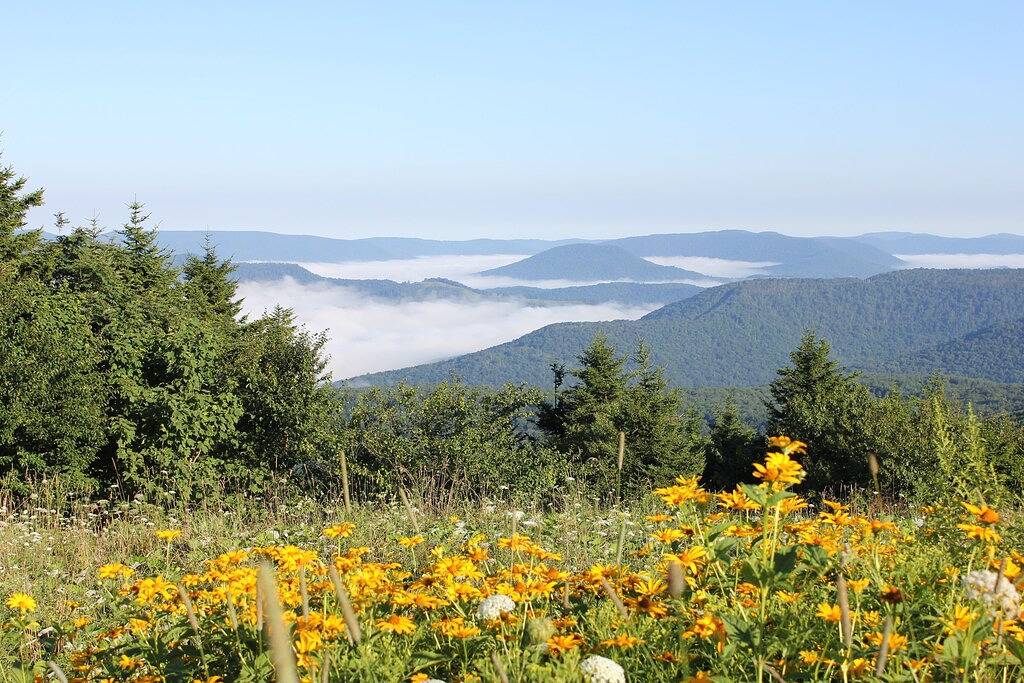 Ganze Wohnung, 2Br Moutain Lodge im Dorf, 1. Stock, Ski in / Ski out - Beste Lage in Snowshoe, Greenbrier River