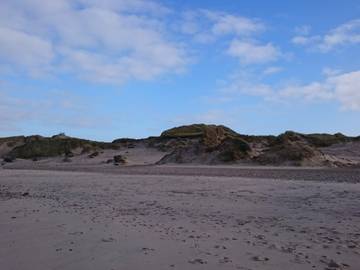 Ferieudlejning til 10 Personer i Vedersø Klit, Vesterhavet, Billede 2