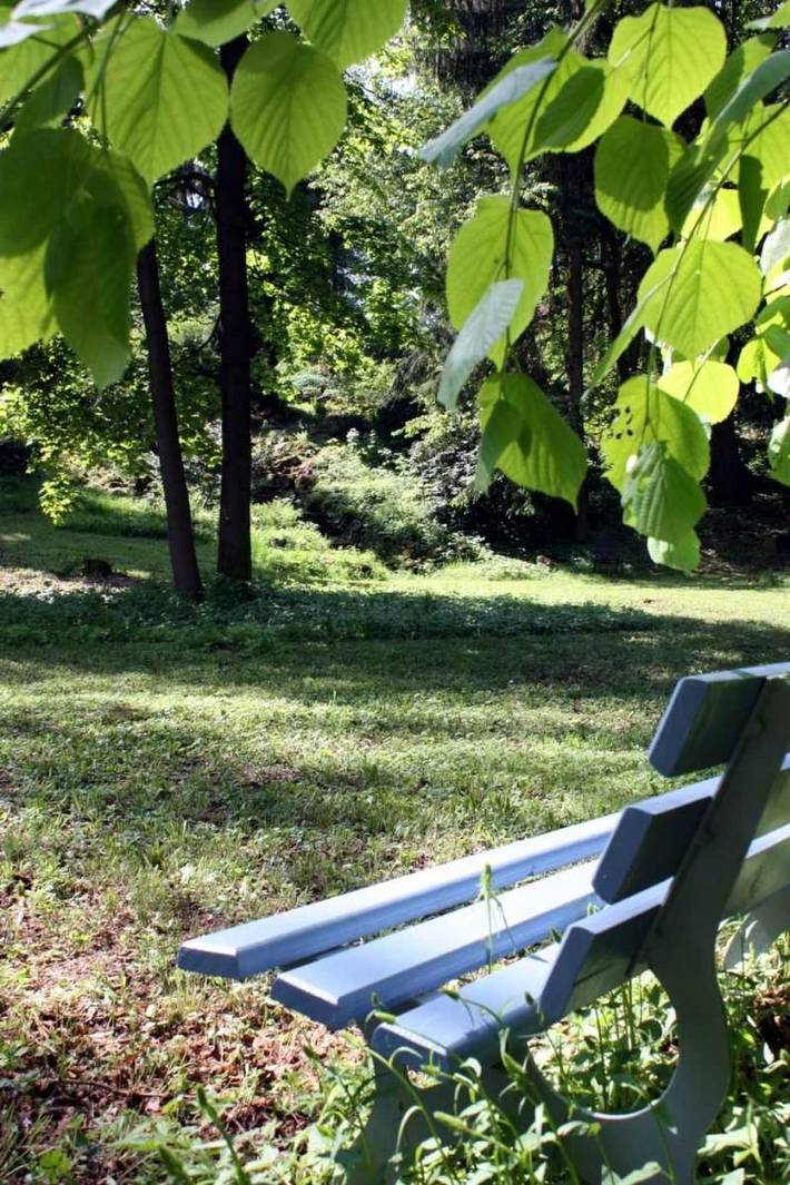 Ferienwohnung für 2 Personen, mit Balkon und Garten in Walkenried - 3