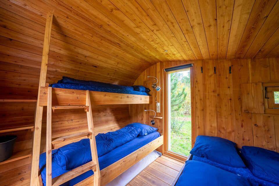 Europarcs De Wije Werelt — Boet 4 in Hoge Veluwe