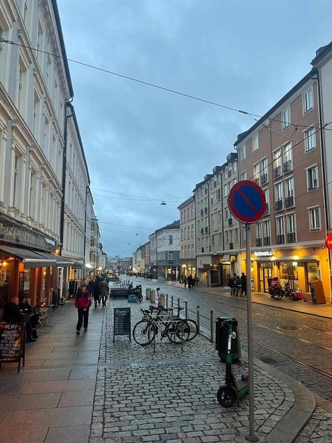 Double Room with Shared Bathroom in Grünerløkka, Oslo