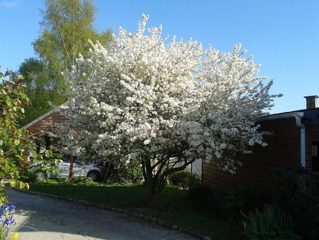 La Rive in Saint-Philibert-de-la-Lézarde, Région du Havre