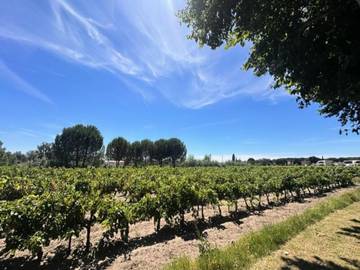 Gîte pour 4 Personnes dans Aigues-Mortes, Région de Nîmes, Photo 2