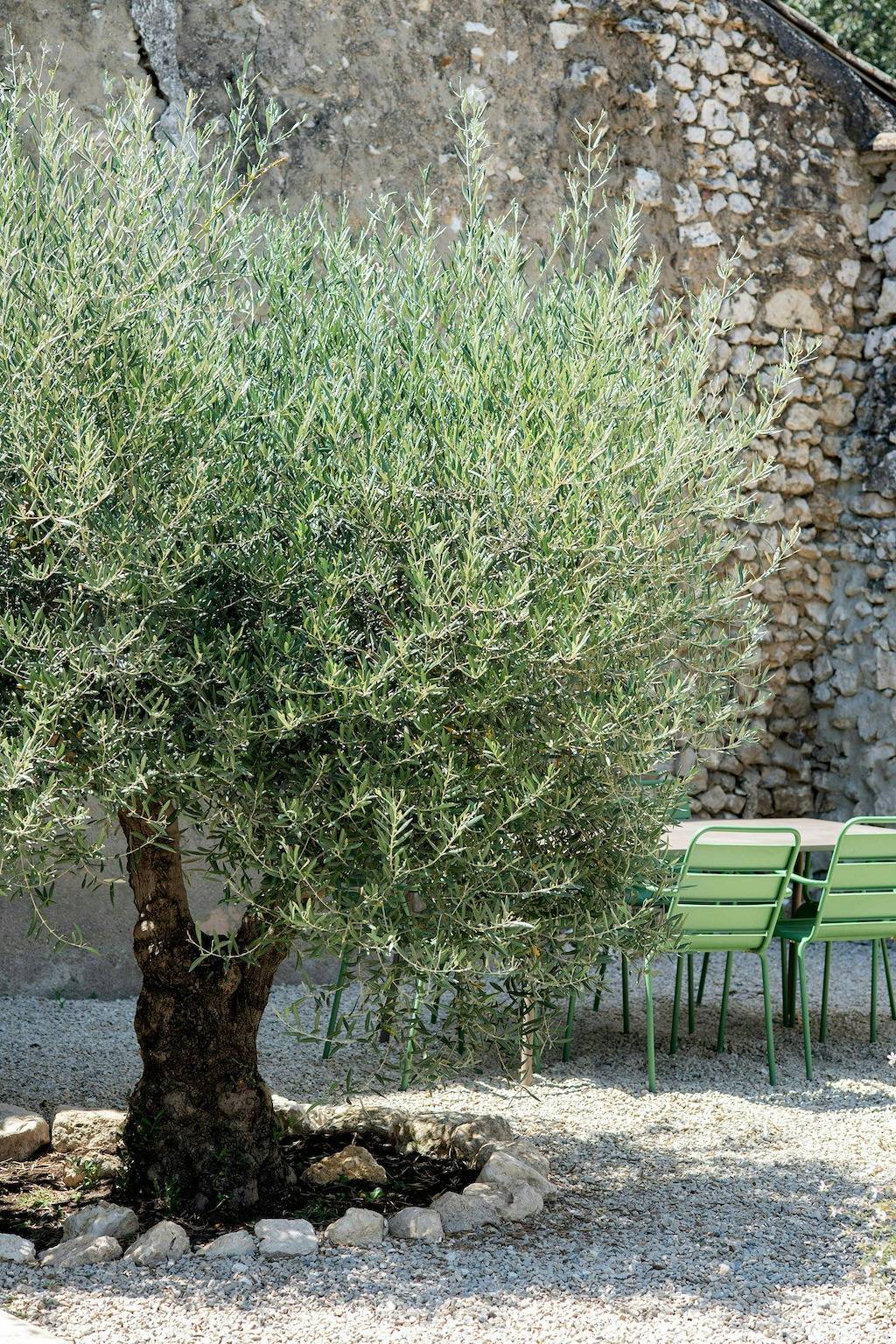 Artist's stable with garden near Alpilles in Saint-Andiol, Arles region