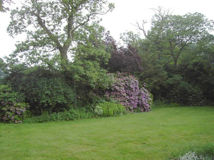 Lodge pour 10 personnes, avec jardin, animaux acceptés dans Bas-Rhin - 3