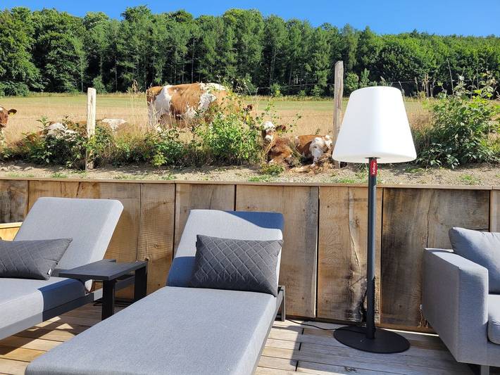 Chalet für 8 Personen, mit Ausblick und Garten sowie Sauna, mit Haustier im Sauerland - 2