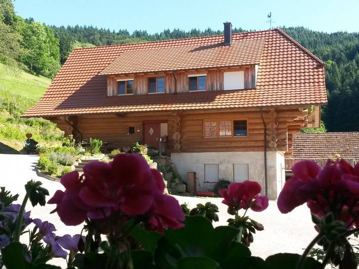 Ferienhaus für 6 Personen, mit Balkon und Balkon/Terrasse sowie Garten in Zell am Harmersbach - 3