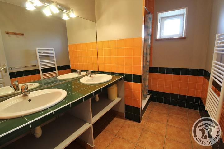 Gîte pour 5 personnes, avec jardin à Thurins - 4