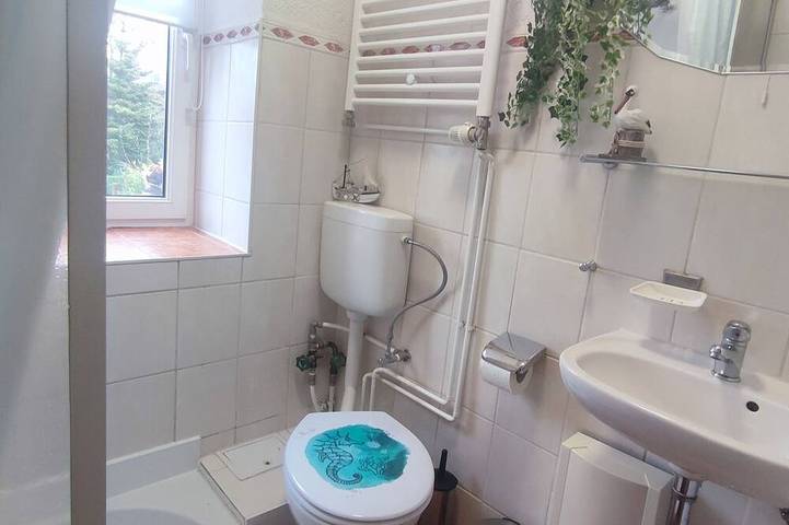 Ganze Wohnung, Ferien direkt am See in Wokuhl-Dabelow, Mecklenburg-Strelitz