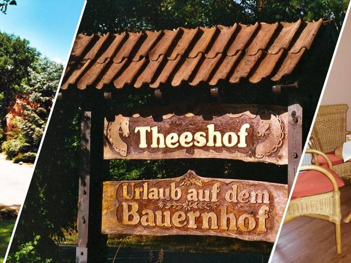 Ferienwohnung für 2 Personen, mit Garten und Terrasse in Soltau - 4