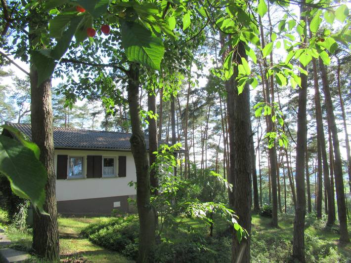 Ferienpark für 4 Personen, mit Pool und Ausblick sowie Terrasse und Sauna in Hessen - 2
