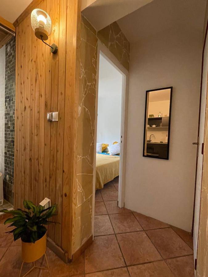 Gîte pour 3 personnes, avec jardin dans La Saline (Saint-Paul) - 4